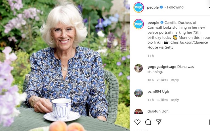 Camilla The Duchess Of Cornwall Gets Special Birthday Portrait