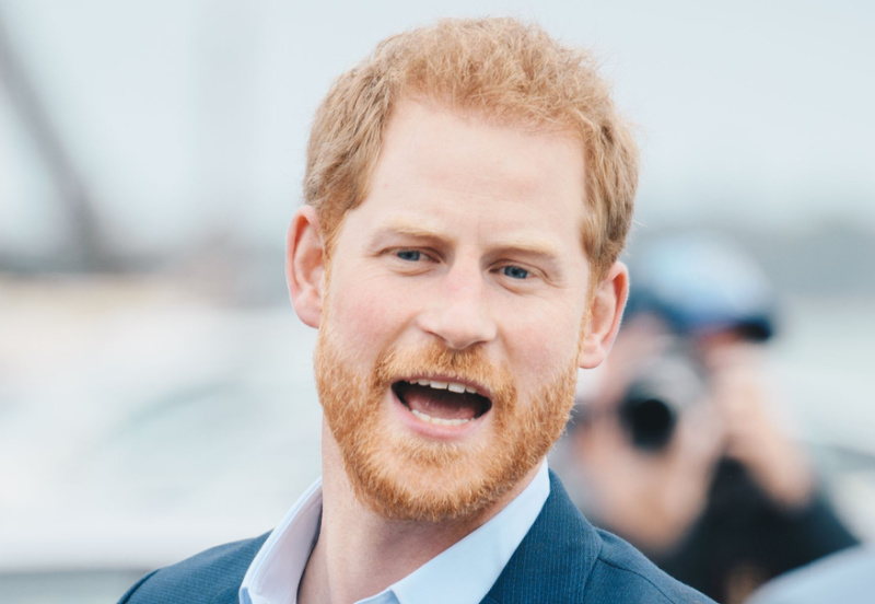 Prince Harry Joins High Profilers With Lawsuits - Fans Admire His Fighting Spirit
