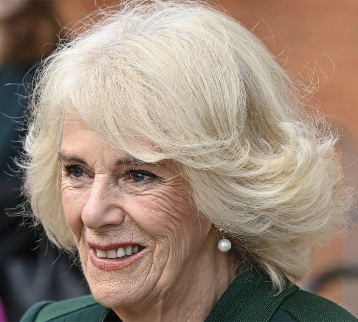 Was Camilla Parker-Bowles Racist When She Gave Out Paddington Bears?