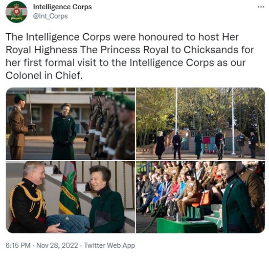 Princess Anne Remain A Top Favorite With Royal Family Fans