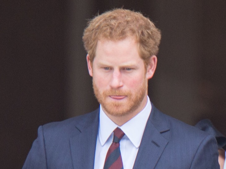 Prince Harry Steps On William's Toes By Mentioning Prince George?