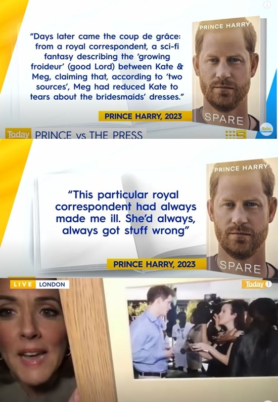 Royal Commentator Slaps At Prince Harry Wanting 'Undiluted Praise'